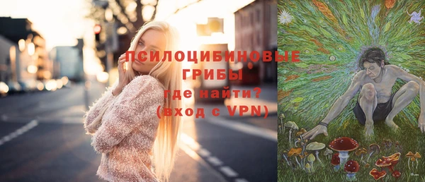 герыч Осинники