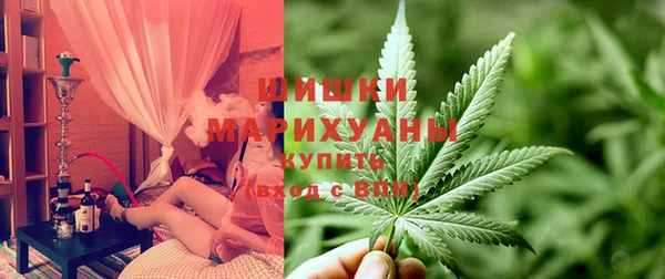 ПСИЛОЦИБИНОВЫЕ ГРИБЫ Остров